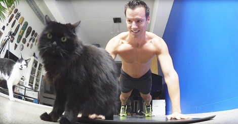 Man Starts Exercising, But When His Cats Find…