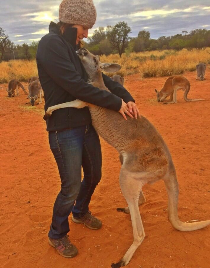 Every Morning Rescued Kangaroo Shows Humans How Much She Appreciates