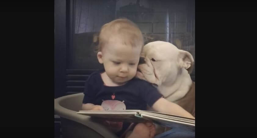 Baby And Bulldog Got Such A Sweet Bond…
