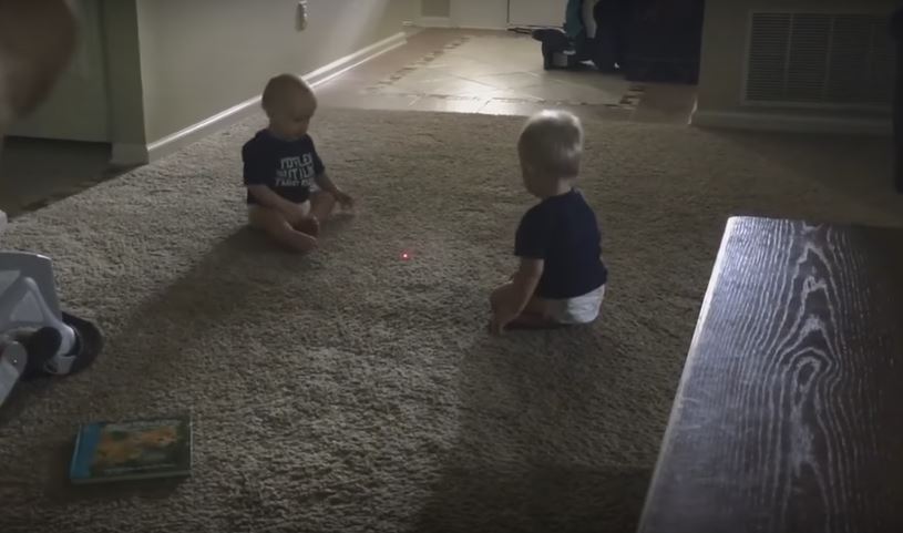 Twins Are Astonished To See A Laser Dot…