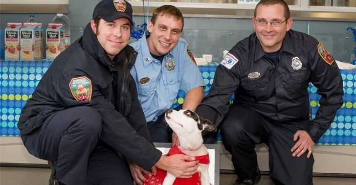 Thankful Puppy Reunites With Heroes Who Saved Her…