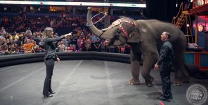 Ringling Bros. Circus Announced That They Are Shutting Down Circus…