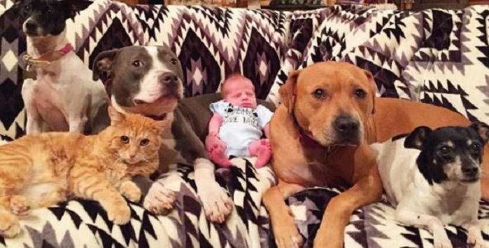 Family Of Pets Is So Obsessed With Their New Brother…