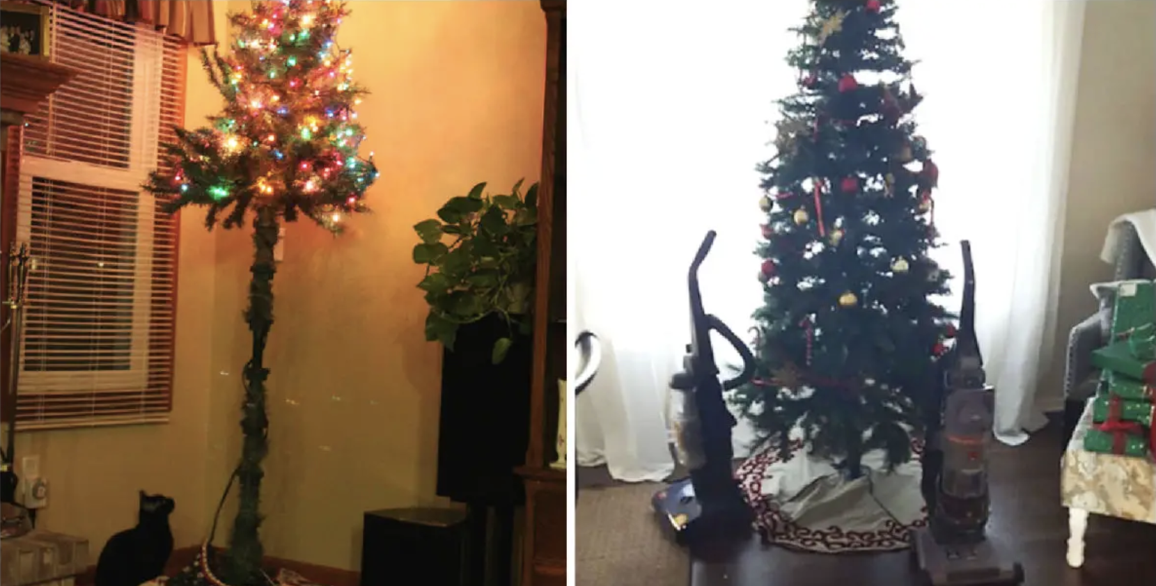 Hilarious Ways In Which Owners Protected The Christmas Trees From Their Pets